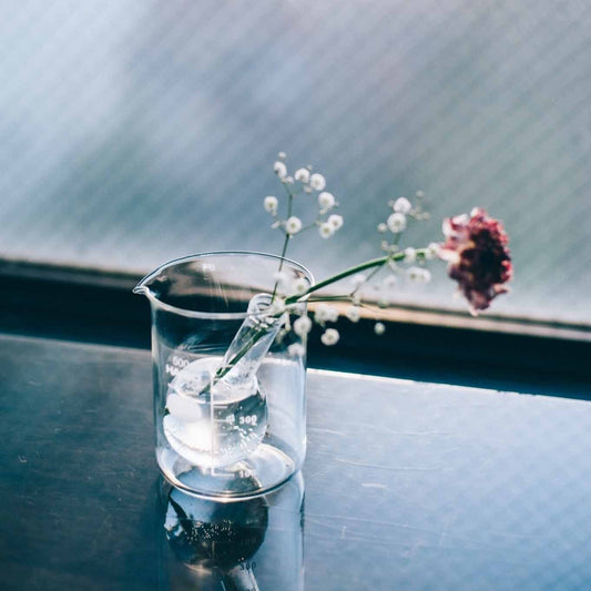 HARIO H-32 ライフスタイル・ラボ ビーカー 500ml B-500-H32 ハリオ